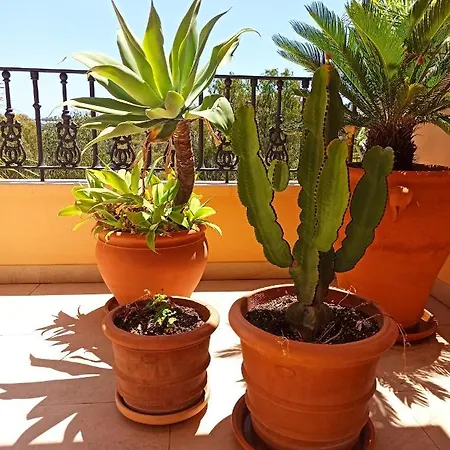 Fantastic Apartment, Puerto Banus, *